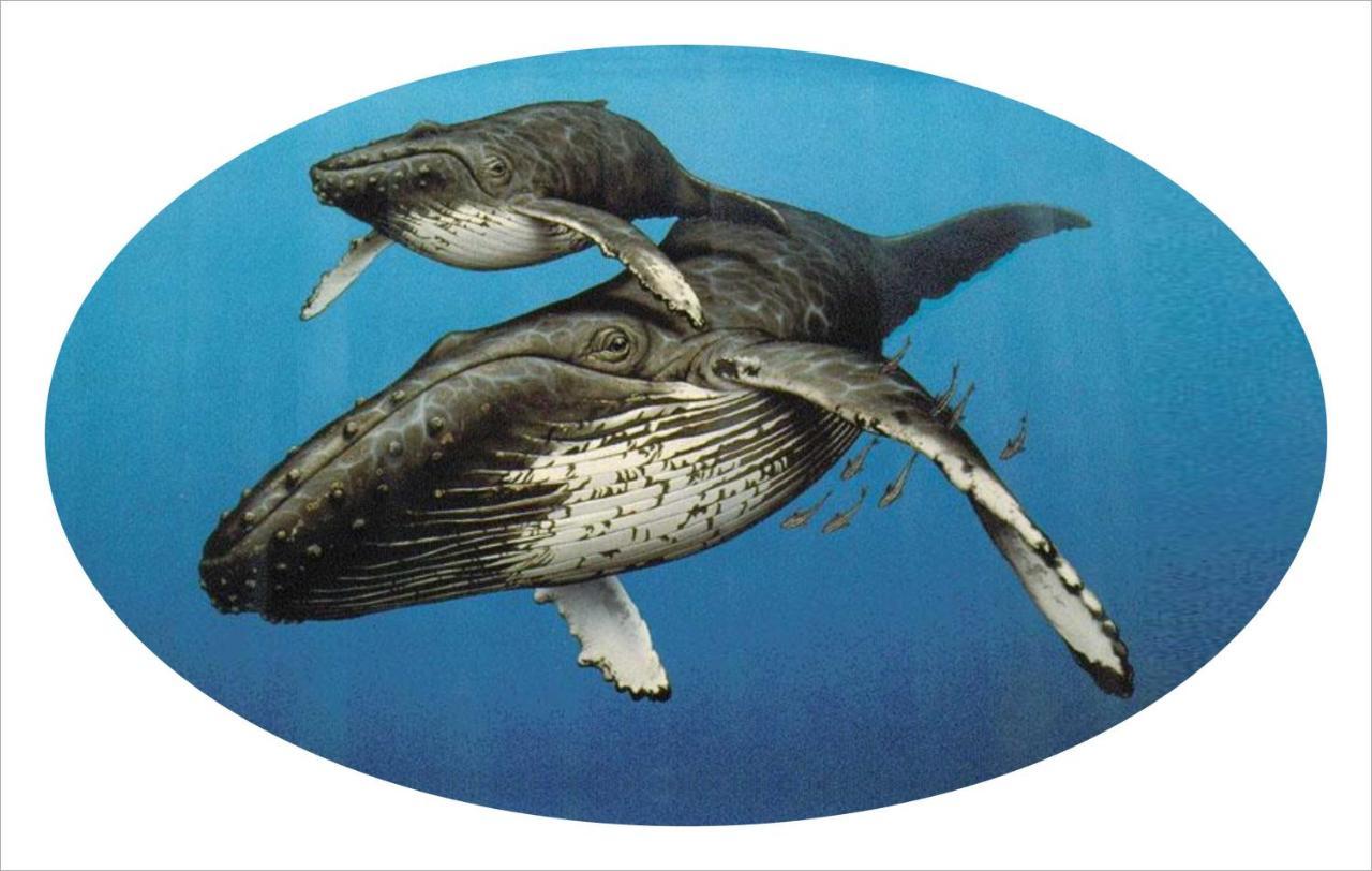 Whispering Whale Hotel Jacobs Bay Luaran gambar